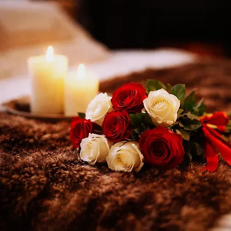 شقة Le Romantique, Spa, Ecran Cinema, Lit King Size, Day Use, 10 Min Centre *